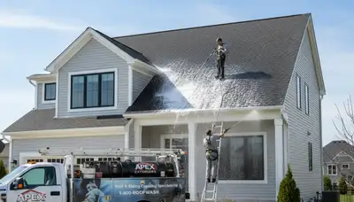 Professional roof cleaning service in Knoxville TN removing moss and debris from residential roof