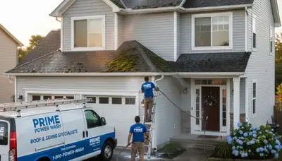 Professional roof cleaning service on residential home in Knoxville, TN by Next Level Exteriors